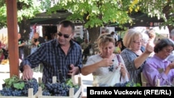 Srbija: Oplenačka berba 2011. 