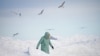 A woman walks along the shore of the partially frozen Baltic Sea in Zelenogradsk in Russia&#39;s Kaliningrad exclave. (Reuters/Vitaly Nevar)