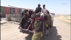 روزانه صدها جوان برای نشتر زنی کوکنار میروند