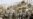 Iraq PM Says Forces Can Handle Security Without U.S.