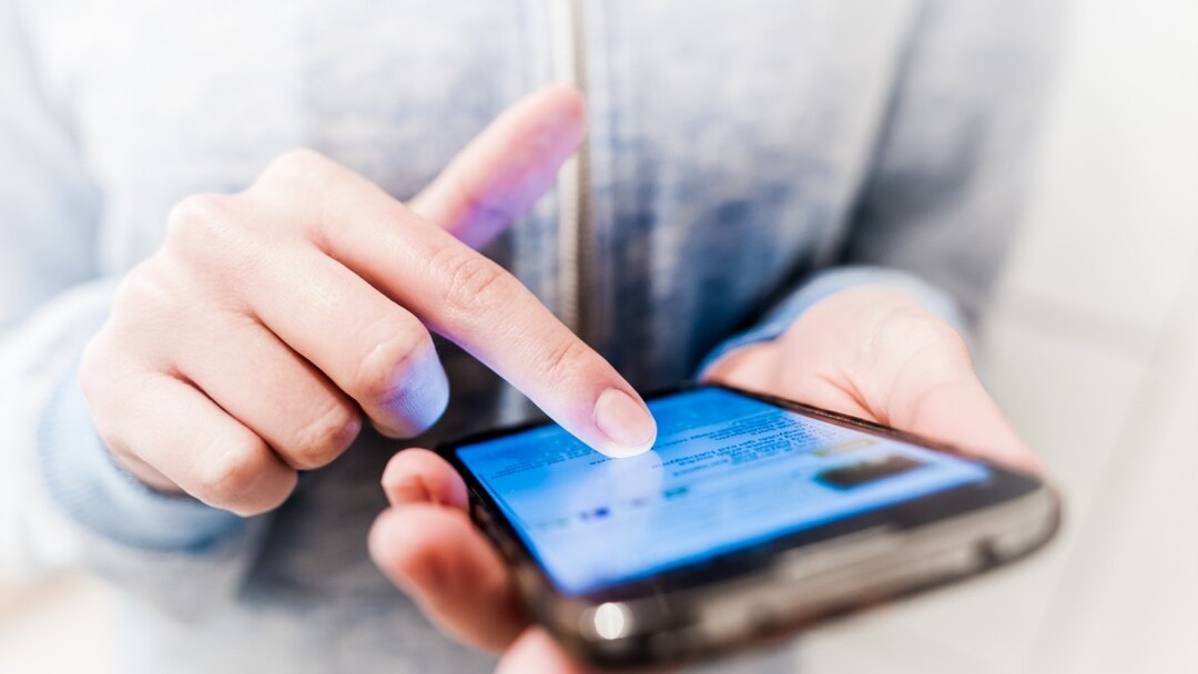 қынапқа толтырылған жәндіктер