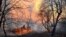 UKRAINE -- A fire burns in the exclusion zone around the Chernobyl nuclear power plant, outside the village of Rahivka, Ukraine April 5, 2020. Picture taken April 5, 2020.