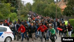 Ілюстрацыйнае фота. Натоўп сырыйскіх уцекачоў у Вугоршчыне, які суправаджае паліцыя, рухаецца да мяжы з Аўстрыяй, 25 верасьня 2015 году