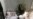 More Dead In Pakistani Political Violence