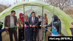 طاهر زهیر والی بامیان حین افتتاح سبزخانه ها برای زنان زراعت پیشه در این ولایت