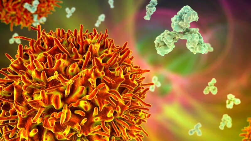 Një variant i ri i koronavirusit shihet me shqetësim
