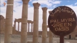 Сирийская армия разминирует Пальмиру (видео)