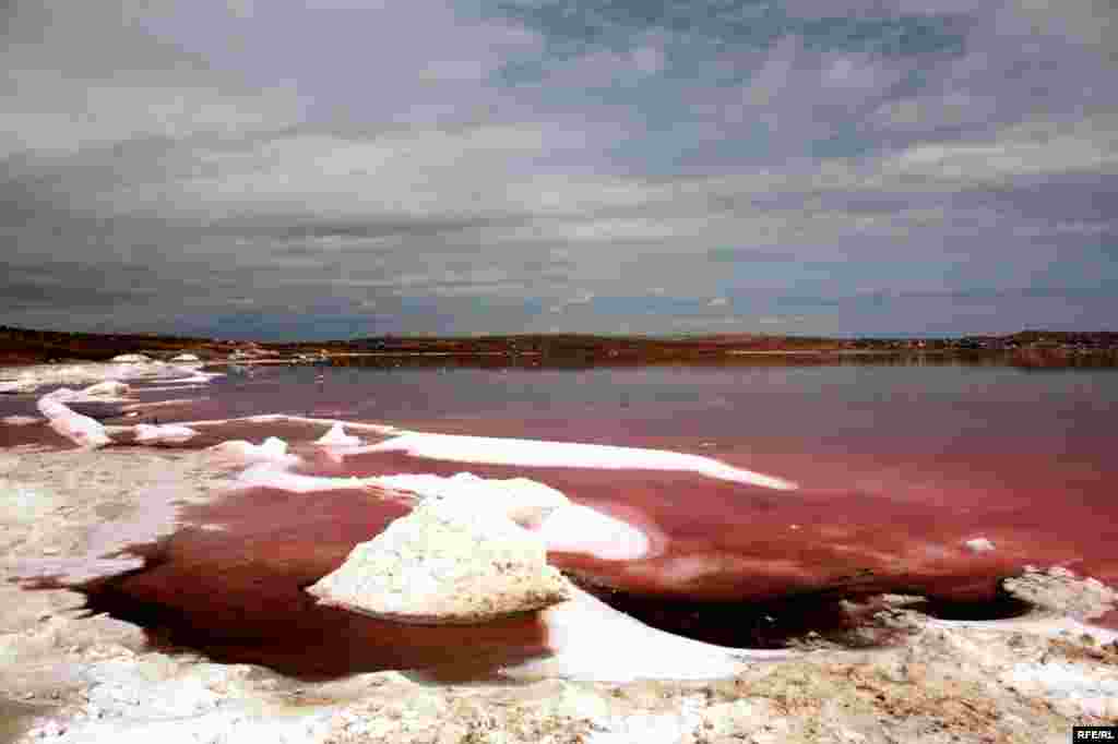 Çörəyi duzdan çıxaranlar #8