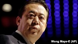 Мэн Хунвэй, 2017