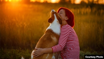 Жас қыздың стриптиз порносын онлайн көру