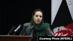 شبنم صالحی، عضو کمیسیون مستقل حقوق بشر افغانستان