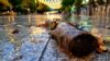 Kosovo: Floods in Prishtina after a rainfall 