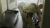 Moldova: Ukrainian Frontline Morgue Workers Bear Witness To Military Deaths