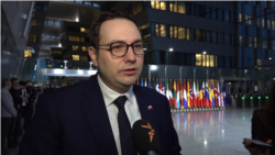 Міністр закордонних справ Чехії про мирний план для України