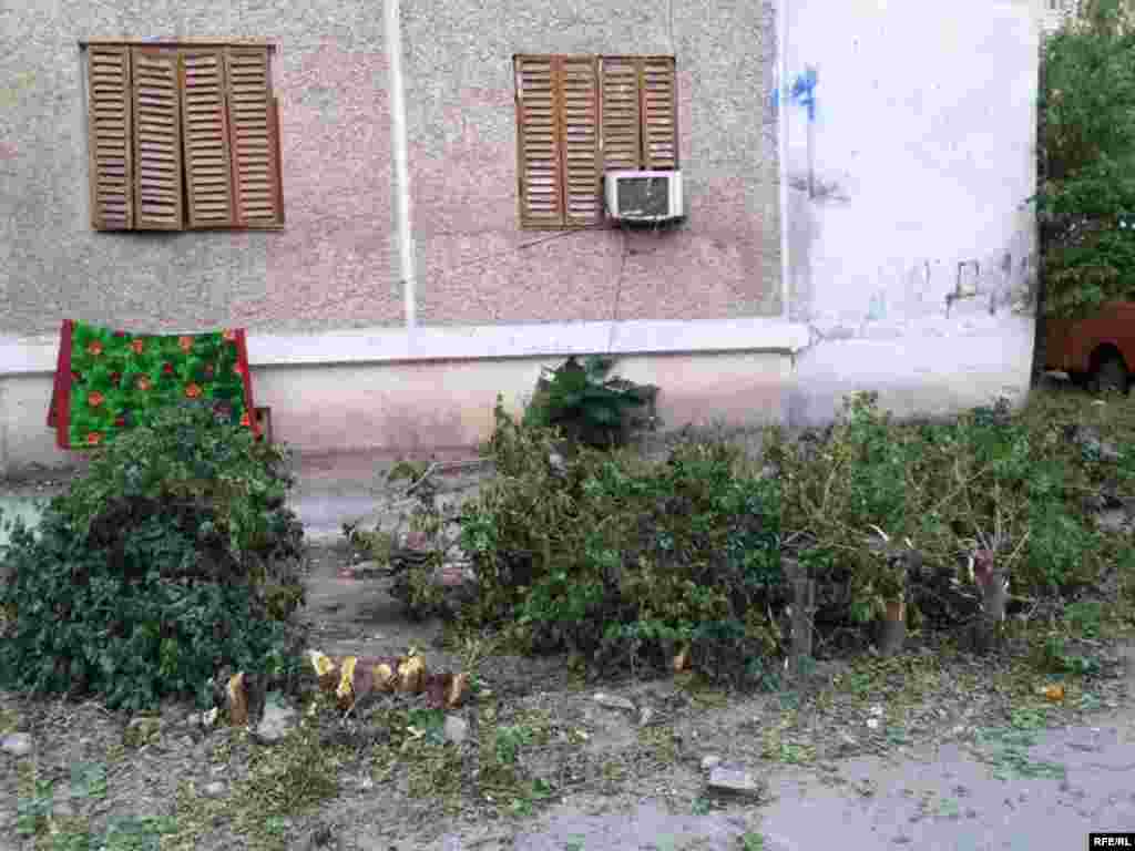 "Bolýan zatlara ýüregim çydanok" #1