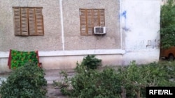 "Bolýan zatlara ýüregim çydanok"