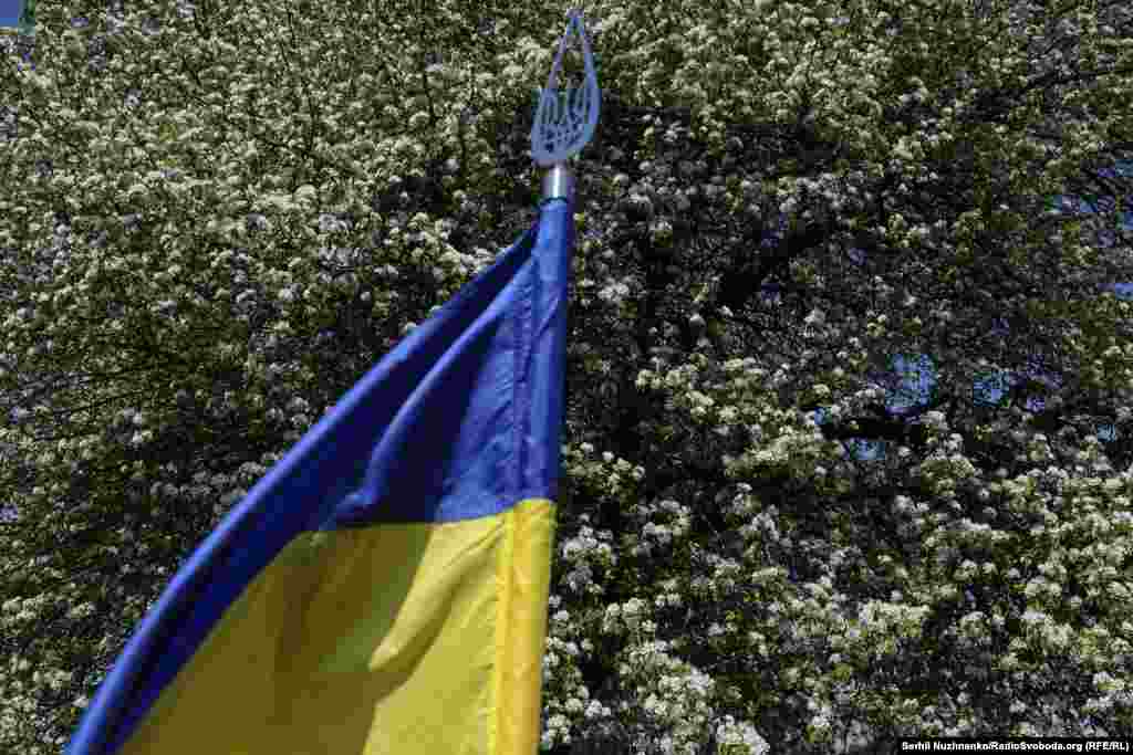 Стара груша бачила як хлопчики зростали, а тепер пишним цвітом проводжає їх в останню путь 