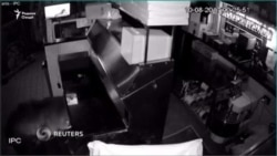 Хирс бо фарзандонаш захираҳои як ошхонаро ба яғмо бурд