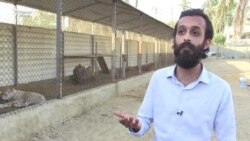 Дар Покистон шери хонагӣ рамзи дороӣ будааст