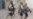 Iraq: Hard To Pin Blame For Most Recent Violence