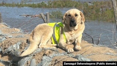 Қара адаммен жеке жыныстық қатынас орыс тілінде