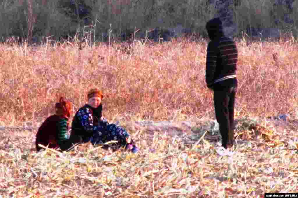 Mallaryny meýdana çykaran ýaşlar