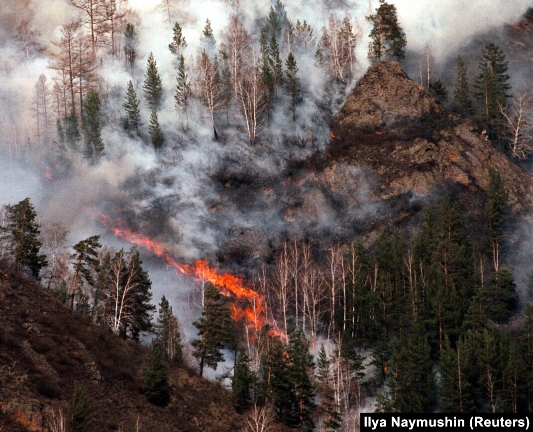 Soul of Siberia　Wild Siberia fired 16Russia-forests1-
