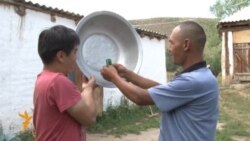 Алайкуу: Тоодо торолгондор