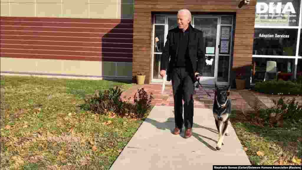 17 листопада 2018 року.&nbsp;Колишній віцепрезидент, 46-й президент Сполучених Штатів Джо Байден забирає з&nbsp;притулку Делаверської гуманної асоціації собаку Мейджора