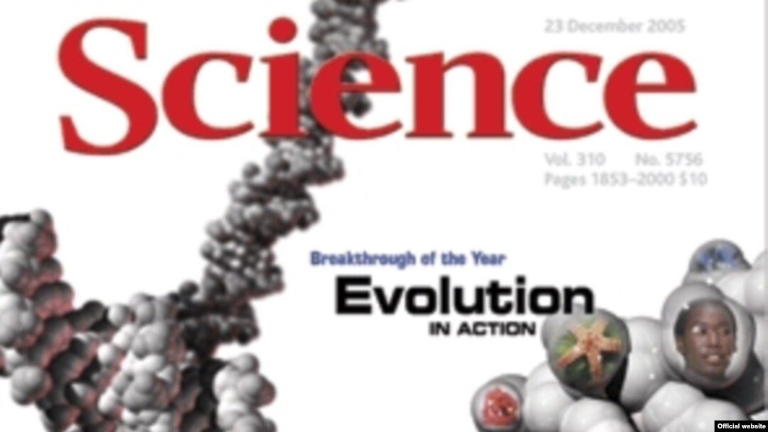 Журнал Science подводит итоги научного года; декабрь 2005