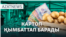 Картоптың құны, Трамптың жарлықтары, от басқан жылқылар – AzatNEWS | 21.01.2025
