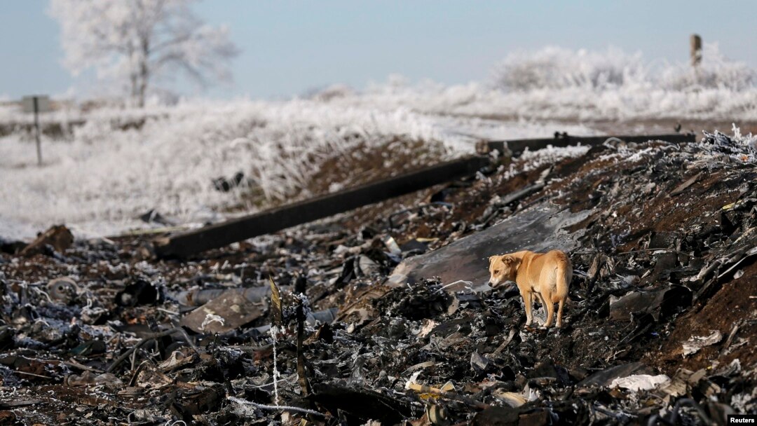 На месте крушения MH17 в Донбассе