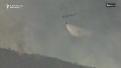 California's Wine Country Fights Forest Fires