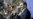 Iranian Vice President Drops Out Of Presidential Race