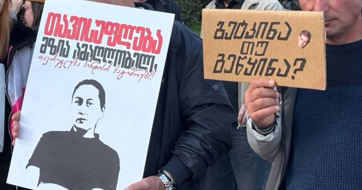 საიამ მზია ამაღლობელის სახელით სტრასბურგის სასამართლოს მიმართა