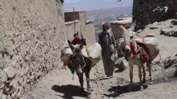 کوه نشینان کابل، چگونه زندگی می‌کنند؟