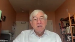 Leon Aron, senior fellow at the American Enterprise Institute, speaks to RFE/RL in an interview. 
