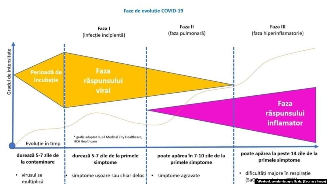 Tabelul fazelor Covid 19