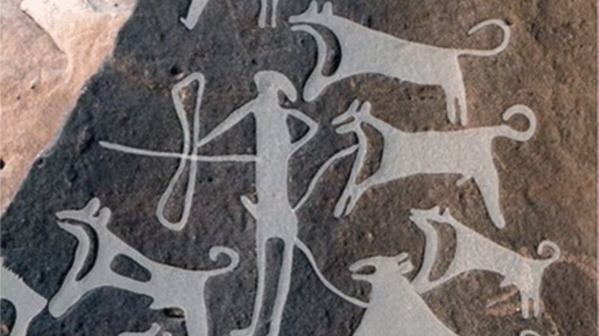 DNA Shows Ancient Siberians Domesticated Dogs, Who Then Helped Settle America - Vimarsana News