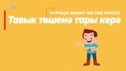 30 секунд на татарский: Тавык төшенә тары керә