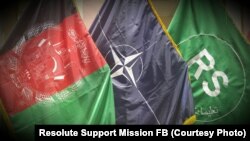 جنرال میلر ویلي، د افغانستان د امنیتي او دفاعي ځواکونو ترمنځ د همغږۍ او همکارۍ زیاتوالی د هغوی د وروستیو بریاوو سبب دی.