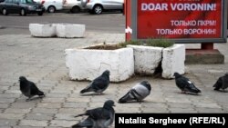 Рэкляма прарасейскіх сілаў у Малдове