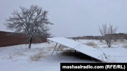 د بلوچستان د پښين ضلعې په نالۍ کلي کې د جنورۍ پر ۲۲مه تر واورې وروسته يخني زياته شوې ده.