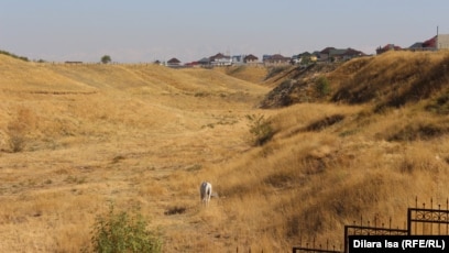 Эротикалық биік және үлкен письки