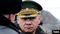 Russian Defense Minister Sergei Shoigu (file photo)