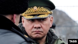 Russian Defense Minister Sergei Shoigu (file photo)