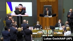 Australian deputies applaud Ukrainian President Volodymyr Zelensky as he addresses the country's parliament via a videolink on March 31.