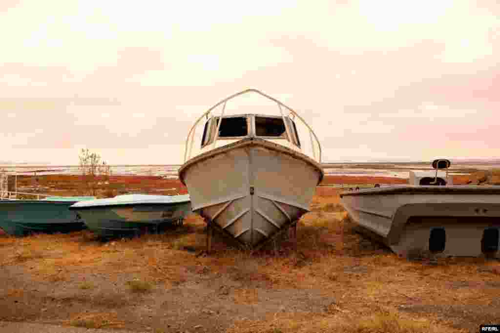 Озеро Урмия: "превращение" в пустыню #15