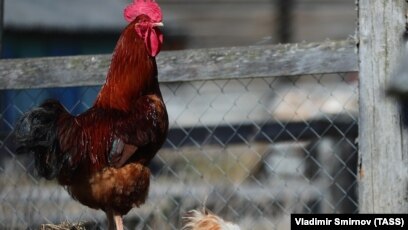 Пойыздағы жас әйелдің порно видеосы