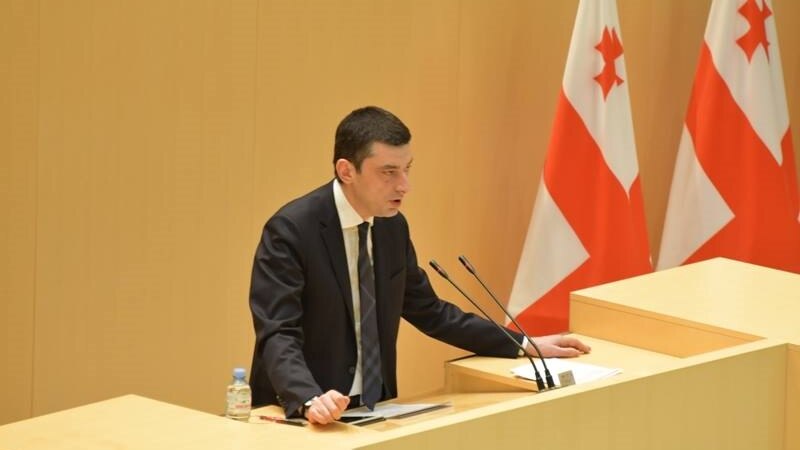 В формате «министерского часа» в парламенте Грузии заслушают главу МВД